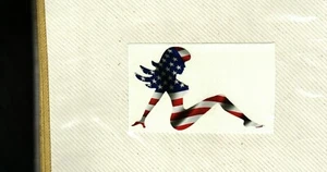 WIRKLICH SCHÖNE SCHMUTZFÄNGER FRAU AMERIKANISCHE FLAGGE KOHLEBERGBAU AUFKLEBER # 81 - Bild 1 von 1