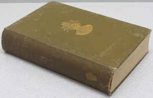 Bureau of American Ethnology 24. Jahresbericht 1902-1903 von W.H. Holmes - Bild 1 von 13