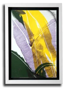 Paul JENKINS - Hand SIGNED on Vélin d’Rives Lithograph Original w/Frame - Picture 1 of 10