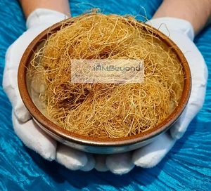 Musgo marino seco orgánico crudo (Santa Lucía) piel de superalimento vegano secado al sol silvestre - Imagen 1 de 1