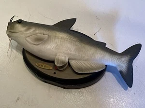 Cool Catfish - Picture 1 of 1