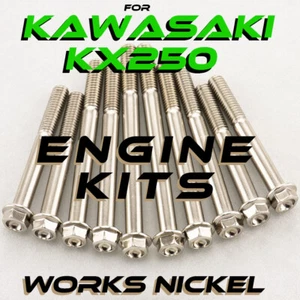 ENGINE Bolt Kit for Kawasaki KX250 | Works Nickel | Perfect for your restoration - Foto 1 di 12