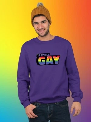 Sudadera con Capucha o Sudadera A Little Gay Bubblegum Banner - SmartPrintsInk Designs Foto 1 de 4