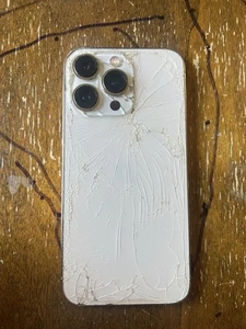 Apple iPhone 13 Pro - 1 To - Or - Arrière fissuré - Avec boîte - Photo 1 sur 8