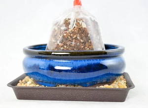 6" Oval Blue Stain Glazed Bonsai / Succulent Pot + Soil + Tray + Rock + Mesh Kit - Picture 1 of 10