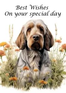 ITALIAN SPINONE DOG & FLOWERS BIRTHDAY GREETINGS NOTE CARD - Picture 1 of 1
