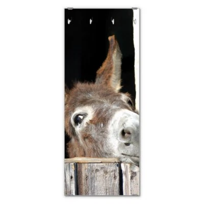 banjado Wandgarderobe Echtglas 50x125cm Garderobe mit 7 Haken Nicki - Bild 1 von 4