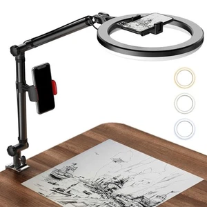 Ring Light with Stand and Phone Holder, USB 10" Ring Light for Desk, Overhead... - Picture 1 of 7