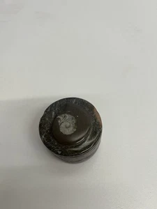 Small Fossil Jar Millions of Years Old. Very Nice Condition. Rare Find - Picture 1 of 4