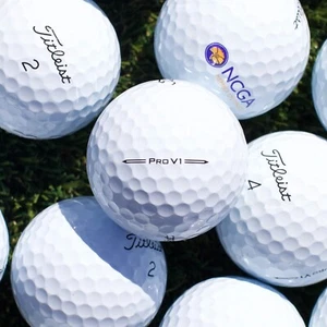 24 gebrauchte Titleist Pro V1 Mint 5A / AAAAA Golfbälle Version 2024 - KOSTENLOSER VERSAND - Bild 1 von 12