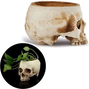 Home Decor Flower Sugar Skull Planter Skull Flower Pot Candy Bowl Fake Skull