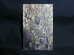 Vintage Postkarte - Carlsbad Höhlen, Nordmexiko - nicht verschickt - Bild 1 von 2