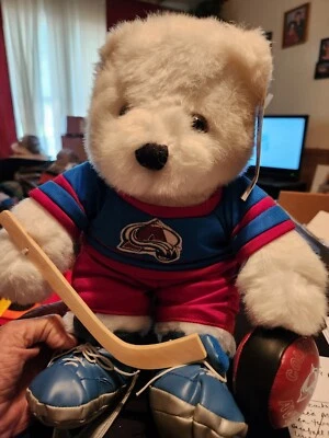 Oso blanco Colorado Avalanche con ropa, palo y disco Foto 1 de 4