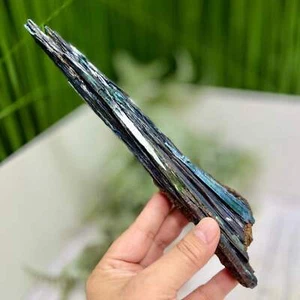 Vivianite RARE Specimen Natural Raw Crystal 248g 240mm - Foto 1 di 9