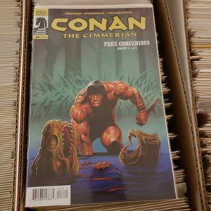 Dark Horse Conan The Cimmerian #16 Free Companions Part 1 of 3 Unread Condition - Picture 1 of 1