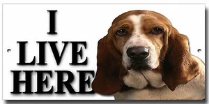 BASSET HOUND "I LIVE HERE" METAL SIGN,PREMIUM QUALITY SIGN.DOG WARNING SIGN. - Picture 1 of 1