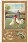 Lily of the Valley With White Chickens Near a Fence-1910 Easter PC-Lord is Risen