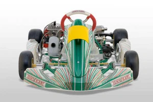 Go Kart Completo Dado Bullone e Rondella Set Per otk 950 Telaio da Corsa - Afbeelding 1 van 2