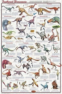 Gefiederte Dinosaurier 2 laminiert Erziehungswissenschaft Klassenzimmer Diagramm Druck Pos... - Bild 1 von 2