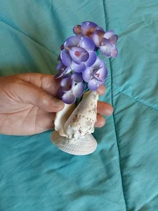 Seashell Flower Arrangement Floral Art Sea Beach Ocean Circa 1960s Decor Vintage - Picture 1 of 7