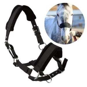 Adjustable Horse Halter Soft Horse Rein Headstall Harness Accessories - Picture 1 of 26