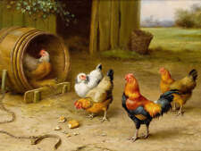 Rooster Chickens old Barrol by Edgar Hunt
