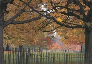 Kensington Gardens London Photocard Postcard unused (139441) - Picture 1 of 2