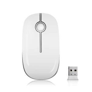 Jelly Comb 2.4G Slim Wireless Mouse with Nano Receiver, Less Noise  Whit/Silver - Picture 1 of 2