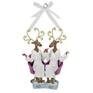 2009 Hallmark Ornament ~ Spa-lendid Friends! ~ QXG6775 NIB - Picture 1 of 1