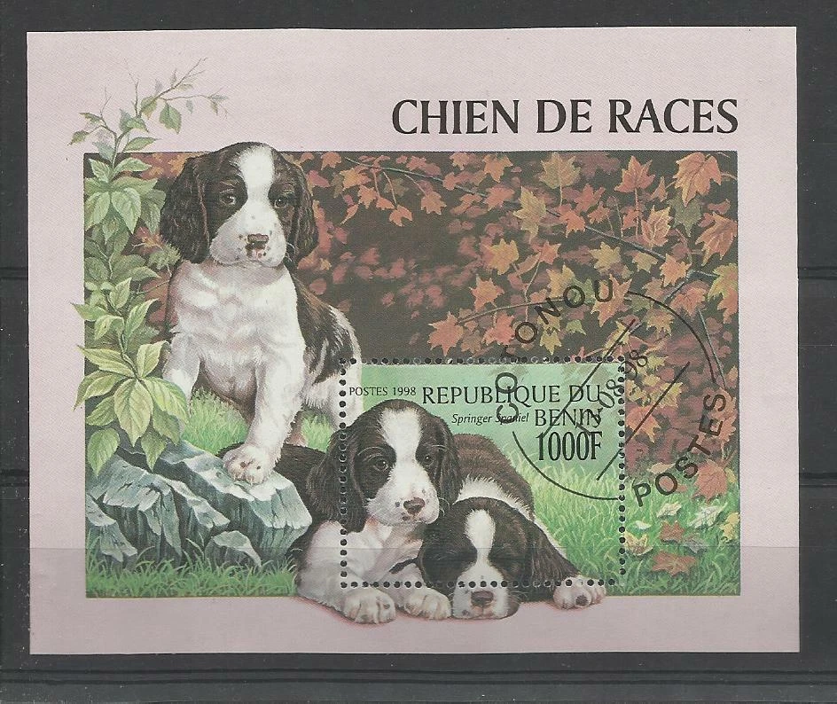  chien dog hund perro Bloc Feuillet oblitéré 13  Bénin - Photo 1/1