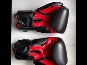 Everlast Boxhandschuhe Rodney Pu Boxing Gloves Level 1 1,0 OZ Unbenutzt - Bild 1 von 4
