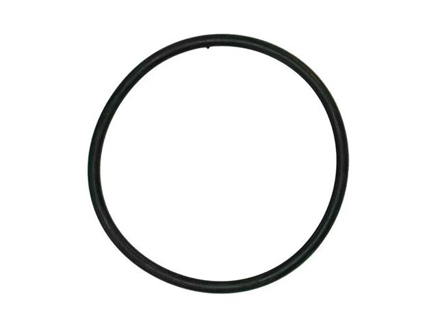 Junta tórica termostato DPH 22CP24V para Land Rover Range Rover 2003-2005 Foto 1 de 1