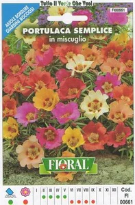 PORTULACA SEMPLICE  - AIUOLE BORDURE GIARDINI ROCCIOSI-FLORAL - BUSTA SEMENTI - Picture 1 of 1