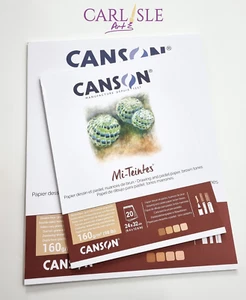 Canson Mi-Teintes 160gsm tonos marrones - Elige tu talla - Imagen 1 de 6
