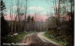 Norway Maine, Sodom Road Vintage Postcard DD1 - Picture 1 of 2