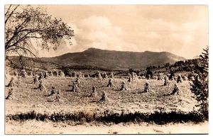 RPPC Corn Field and Mountain Scene, Twist O'Hill Lodge, Williston, VT - Imagen 1 de 2