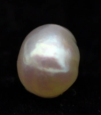 0.91 Ct 100% Natural Basra Pearl 4 mm Uneven Cabochon Shape No Nucleus Gemstone - Image 1 of 4