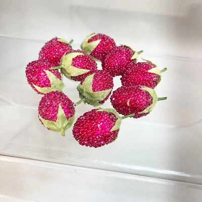 Lote de 10 canastas adornos decorativos de bayas con cuentas de fresa azucarada Foto 1 de 4