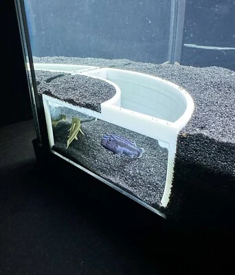 Aquarium Underground Cave Corner Curve Entrance Viewing Hide Decor Ornament - Image 1 of 4