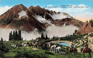 POSTAL DE COLECCIÓN DE JINETES DEL PARQUE NACIONAL OLÍMPICO DE PORT ANGELES WA 091823 - Imagen 1 de 2