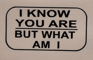 I KNOW YOU ARE BUT WHAT AM I MESH TRUCKER CAP SNAP BACK (PICK COLOR) SPRUCH - Bild 1 von 43