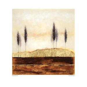 Richard Barrett Sweet Wilderness - Bild 1 von 1