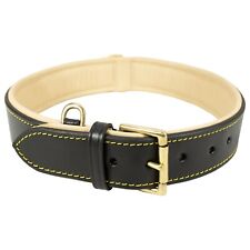 Shwaan Padded Genuine Leather Dog Collar For All Breed Unisex Pack of 10 Collars
