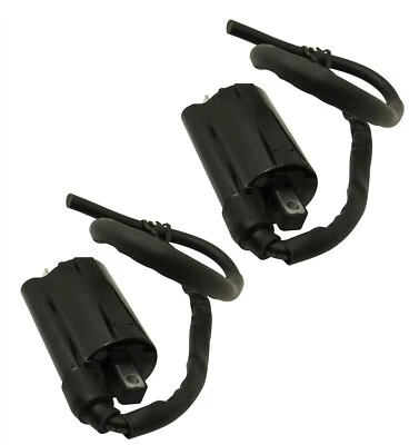 2 bobinas de encendido para Kawasaki Ninja 250R EX250F 1988 1989 1990 1991 1992-2007 Foto 1 de 2