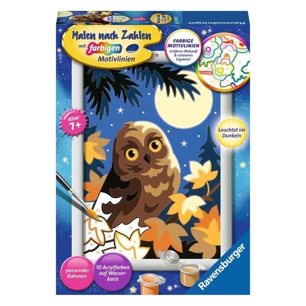RAVENSBURGER MALEN NACH ZAHLEN - EULE IM MONDSCHEIN -  NEU OVP - Bild 1 von 1