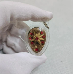 Amulet Dow Kieng Duen LP Pina Wat Sanom Lao Waterproof Case For Prosperity - Picture 1 of 3