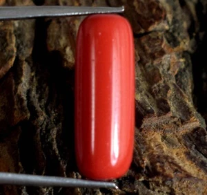 Corallo Rosso Italiano Naturale 9,50 Ct/20 mm Pietra Preziosa Cilindrica Certificata B89442 - Foto 1 di 8