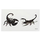 3D Spider Tatoo Scorpion Temporary Tattoo Stickers For Halloween TrickyL_hgM~pd