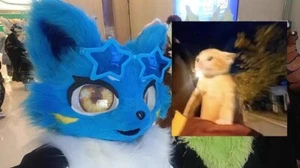 Handmade Fursuit outdoor role-playing outfit - Blue (Head) - Picture 1 of 2