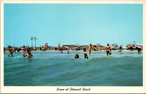 Vtg Galveston Texas TX Scene at Stewart Beach Bathers 1950s Chrome View Postcard - Picture 1 of 2